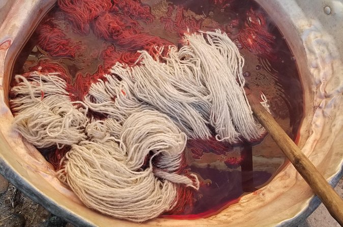 Natural Dyeing and Organic Weaving Workshop in Oaxaca - Price and Logistics: How to Plan a Smooth Oaxaca Workshop Day