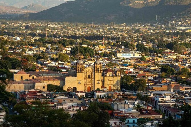 Oaxaca Airport (OAX) Private Transfer to Oaxaca City - Driver service that feels human: from late-night help to translation