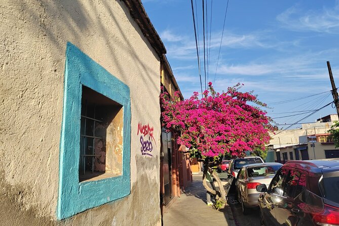 Oaxaca: Beyond the surface - Price and value: why $25 makes sense here