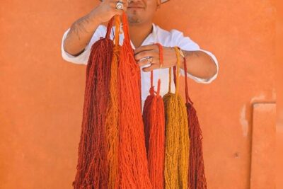 Oaxaca : Boil Water, Mitla, Teotitlan and Tule Tree - Tule Tree Stop: A Quick Marvel on the Way