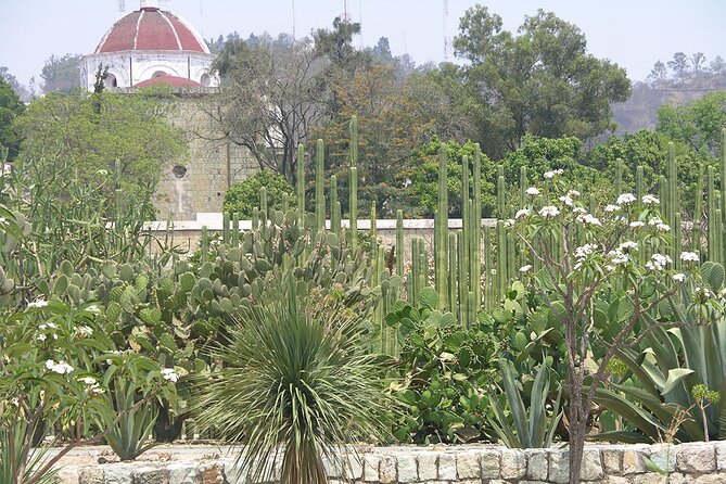 Oaxaca City tour - Santo Domingo museum & the colorful market - Price and value of this $50 tour (what you get for it)