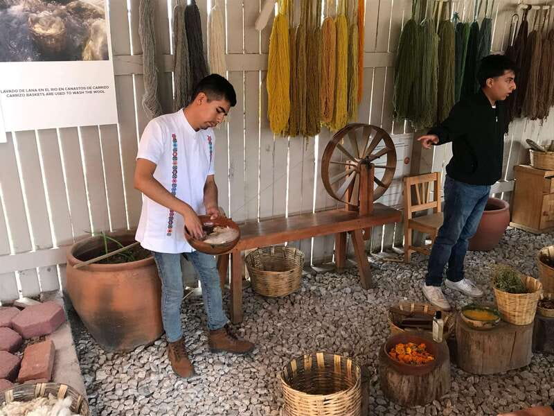 Oaxaca: El Tule tree, Teotitlan Village & Mezcal Tour - A Practical Look at the 4.5-Hour Flow (and Why It Works)