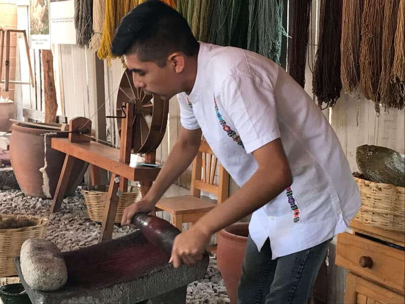 Oaxaca: El Tule tree, Teotitlan Village & Mezcal Tour - Should You Book This Oaxaca Tree, Teotitlán & Mezcal Tour?