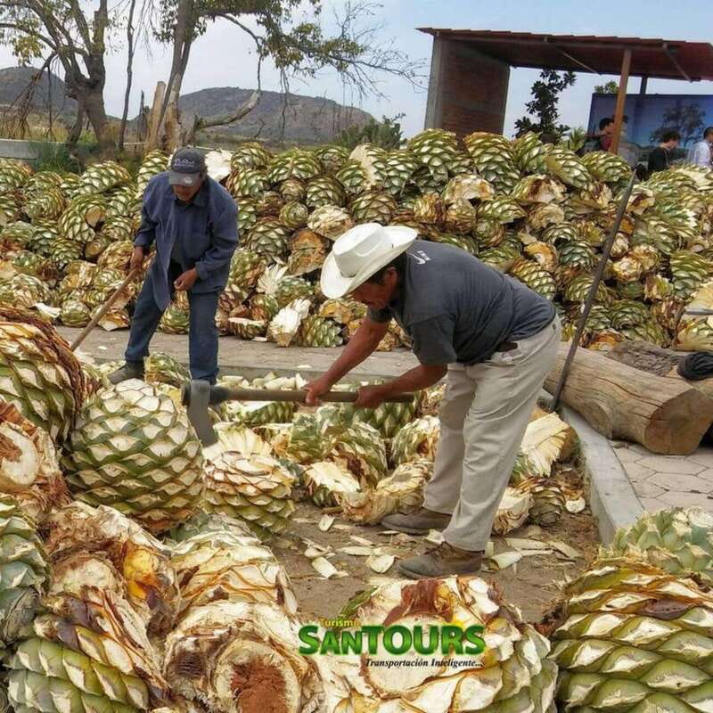 Oaxaca: Hierve el Agua Tour - Who This Oaxaca Tour Fits Best