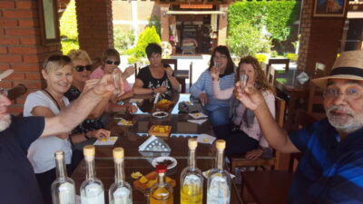 Oaxaca: Mezcal Adventure - Agave plantation walk: learning the plant’s life cycle and real uses