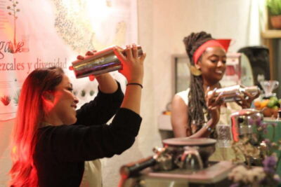 Oaxaca: Mixology Workshop with Organic Mezcal - How the Workshop Flows: From Cocktail Bases to Your Finished Mezcal Drink