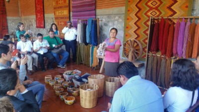 Oaxaca: Tule, Mitla & Hierve el Agua, & Mezcal Tour - The Tree of Tule: wide shade, old symbolism, and 30 minutes that matter