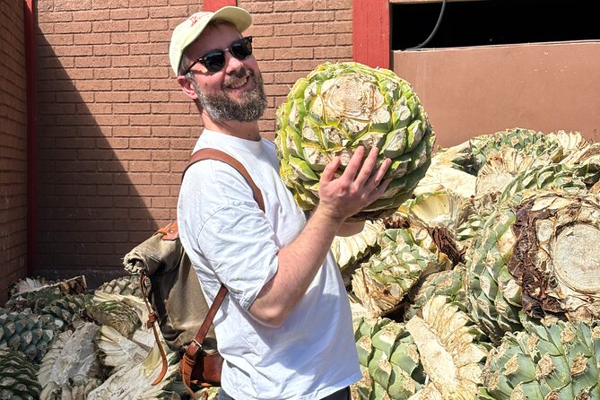 One day trip : Mezcal, Tlayudas & Textil - Key highlights at a glance