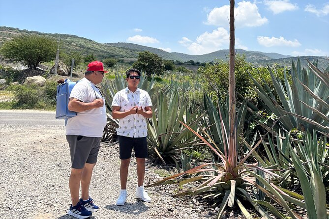 One day trip : Mezcal, Tlayudas & Textil - Tlacolula Market: Tejate, Chapulines, and Tianguis Traditions