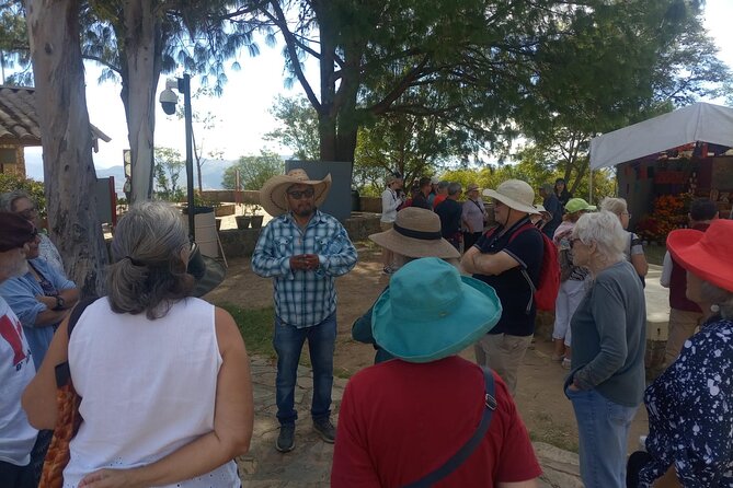 Only Monte Albán Tour - Price and value: why $45 feels fair for what you get