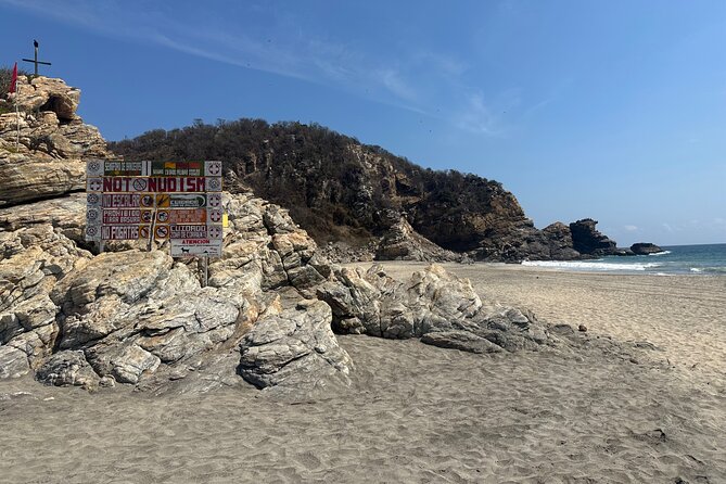 Private Day Trip to Mazunte and Zipolite - The day in motion: timing, transport, and what to expect in an 8-hour format