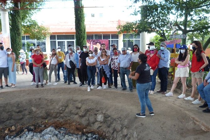 Private Family Tour visitng Mitla, Mezcal Factory, HIerve el Agua - Mitla Archaeological Zone: Zapotec Meaning, Ceremonial Design, and Line-Watching