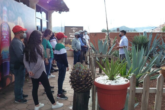 Private Family Tour visitng Mitla, Mezcal Factory, HIerve el Agua - Price and Logistics Check: When This Private Day Makes Financial Sense