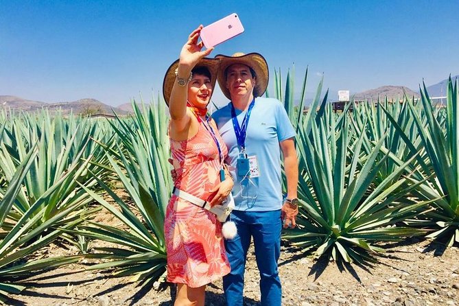 Private Tour, all inclusive: Tlacochahuaya, Mezcal, Teotitlán del Valle - Mezcal Don Agave: agave fields, distillation facilities, and your included taste