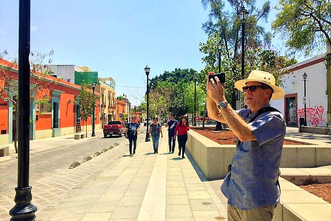Private Tour: World Heritage Sites, UNESCO Monte Alban & City of Oaxaca - Who should book this UNESCO Oaxaca day