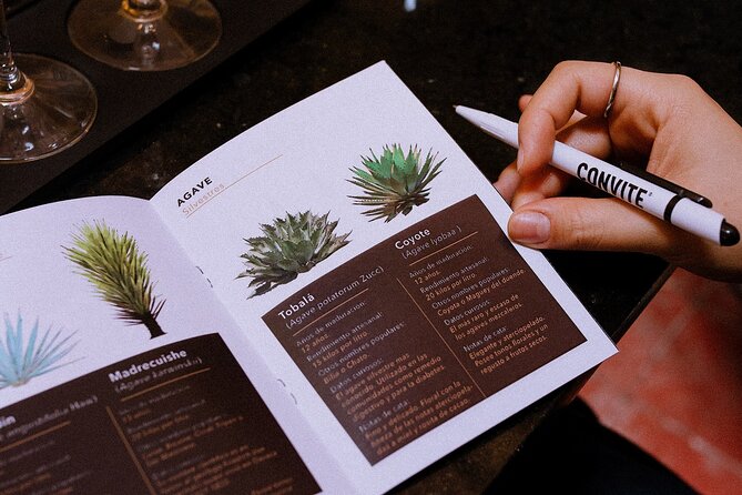 Tasting of Mezcal with the best selling brand in Oaxaca - What You Learn About Mezcal Authenticity and NOM-070