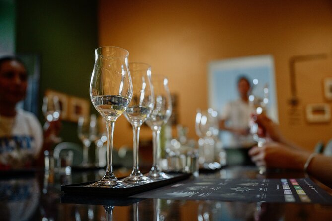 Tasting of Mezcal with the best selling brand in Oaxaca - Should You Book Mezcal Convite in Oaxaca City?