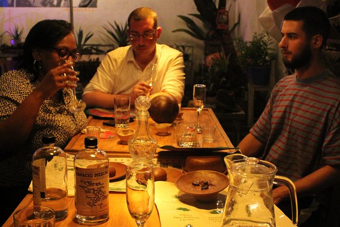 Tasting of Organic Mezcales - The main tasting rounds: organic-focused mezcals and real producer variety