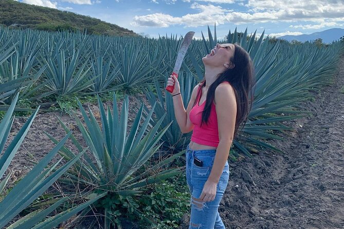 The Mezcal Journey - Guides, Group Vibe, and Why This Feels Social