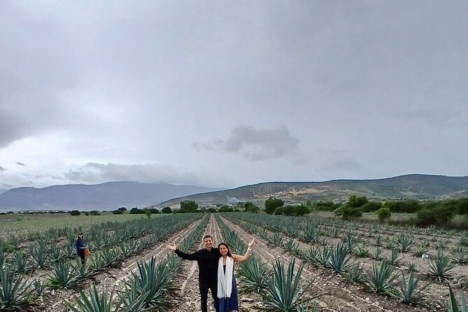 The Mezcal Tour - The barrimobile ride through fields and village stops