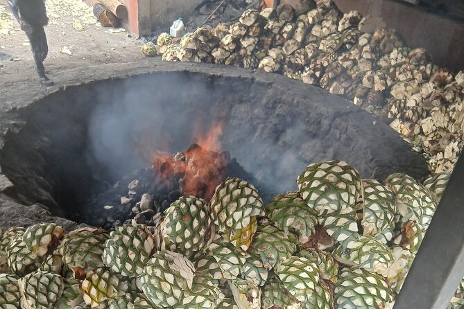 The Mezcal Tour - Who should book this mezcal day trip?