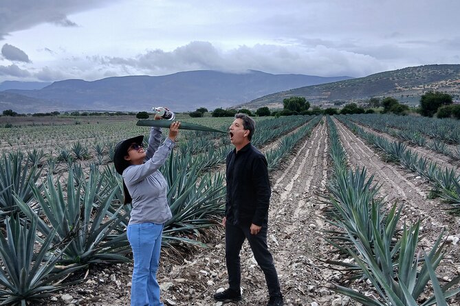 The Mezcal Tour - Santiago Matatlán palenque: where mezcal starts to make sense