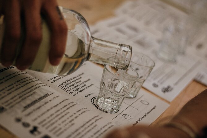 Tour of Mezcalerias in the City - The 5 pm route: a practical Oaxaca mezcal intro