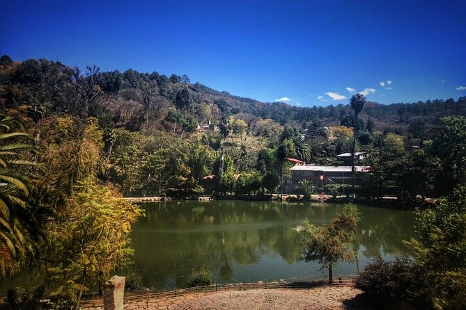 Tour of the Sierra Juárez, Ixtlán, Guelatao and Capulálpam - Stop 3: Laguna Encantada—slow nature time that actually matters