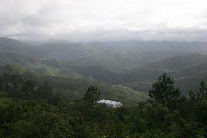 Tour of the Sierra Juárez, Ixtlán, Guelatao and Capulálpam - Guide and driver energy: what makes the day feel good