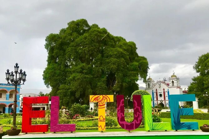 Tour to artisan towns of Oaxaca - Teotitlán del Valle: wool rugs, natural dye color, and technique