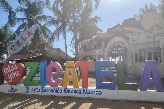 Travel from OAXACA to PUERTO ESCONDIDO by Private Transportation - Practical Timing Tips for Your Arrival Day